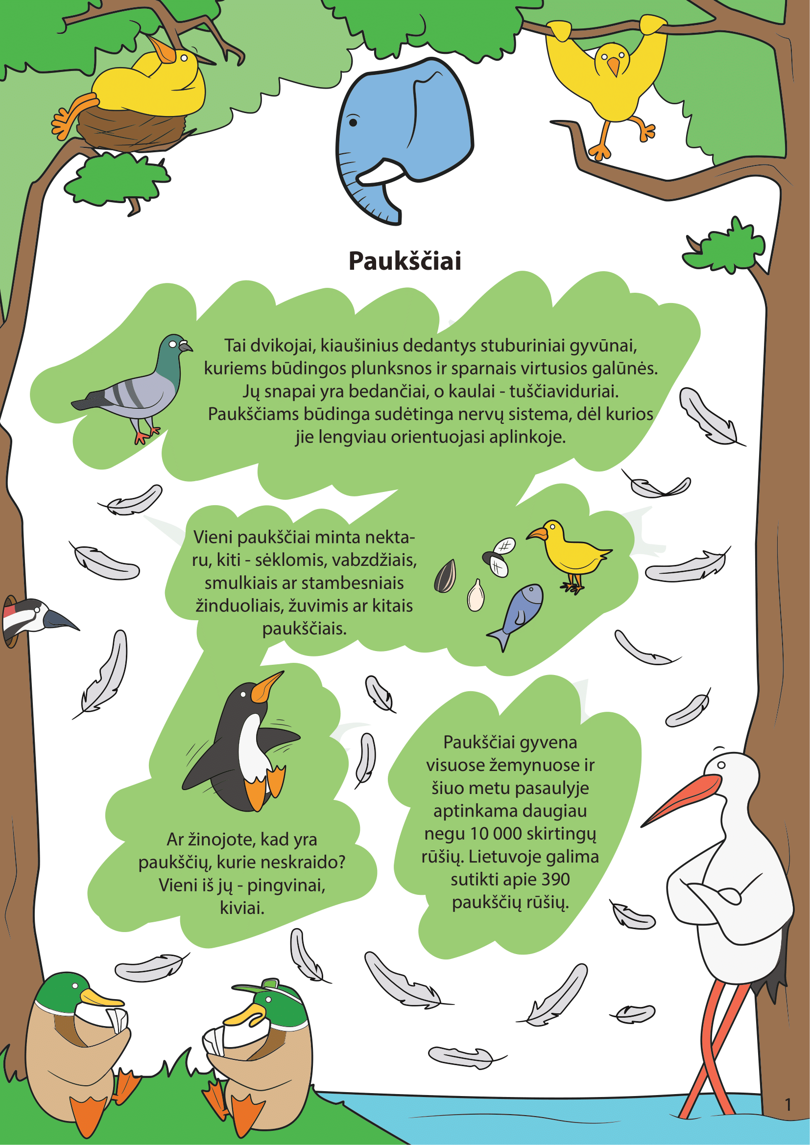 Paukščiai - puslapis 1