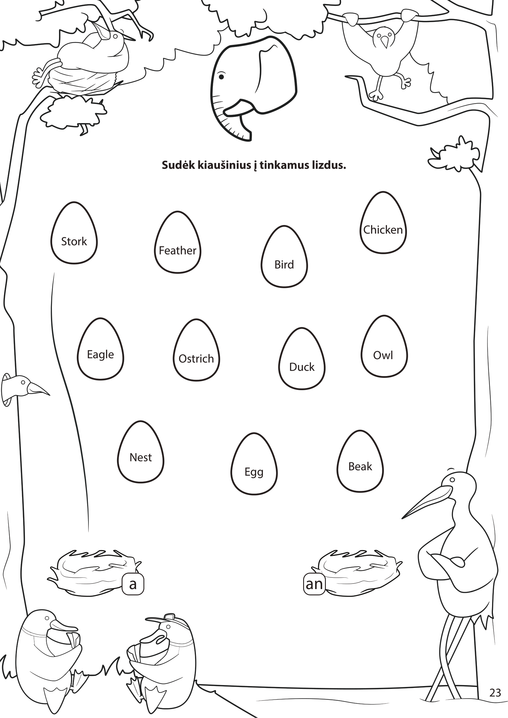 Paukščiai - puslapis 11