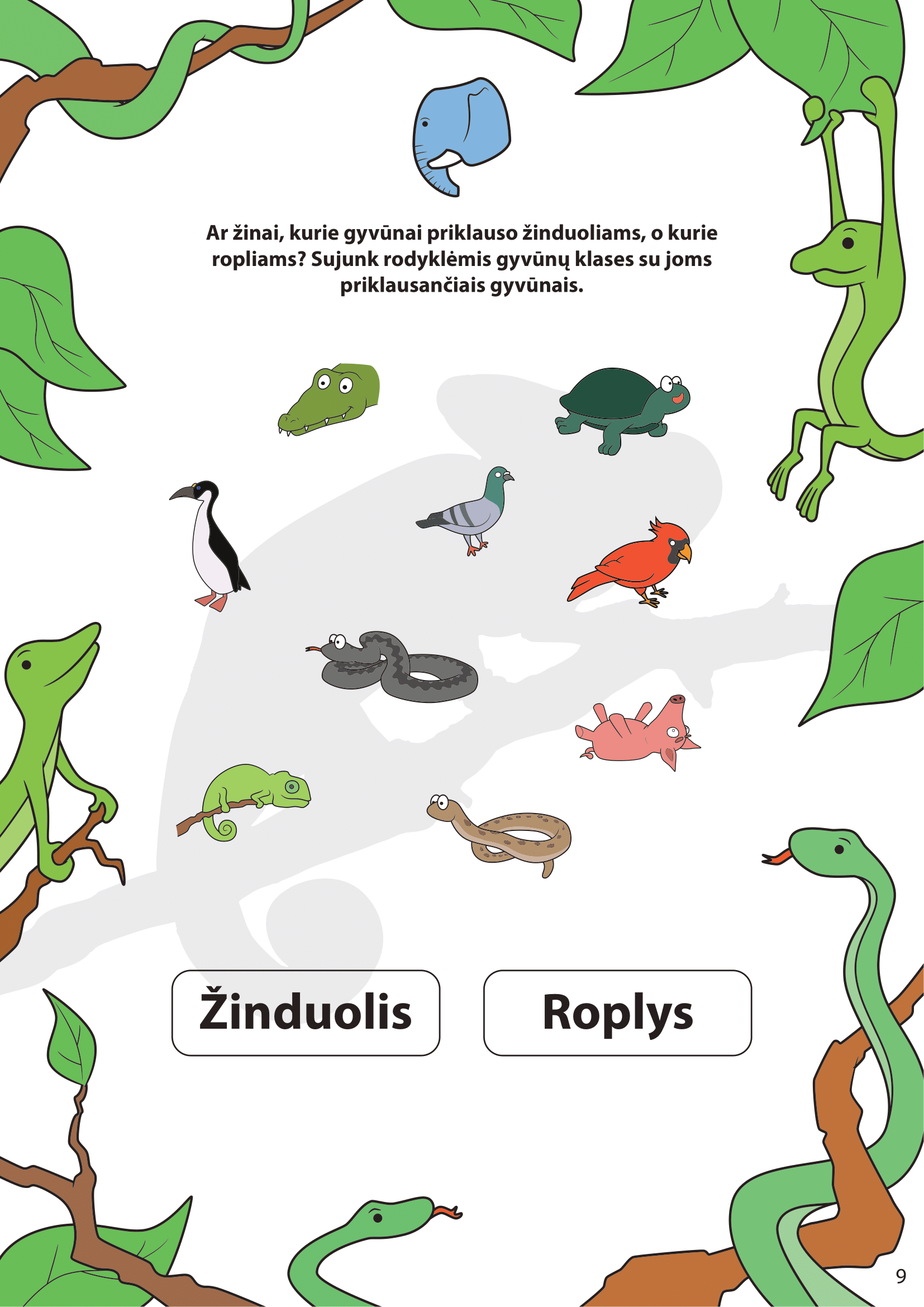 Ropliai - puslapis 5