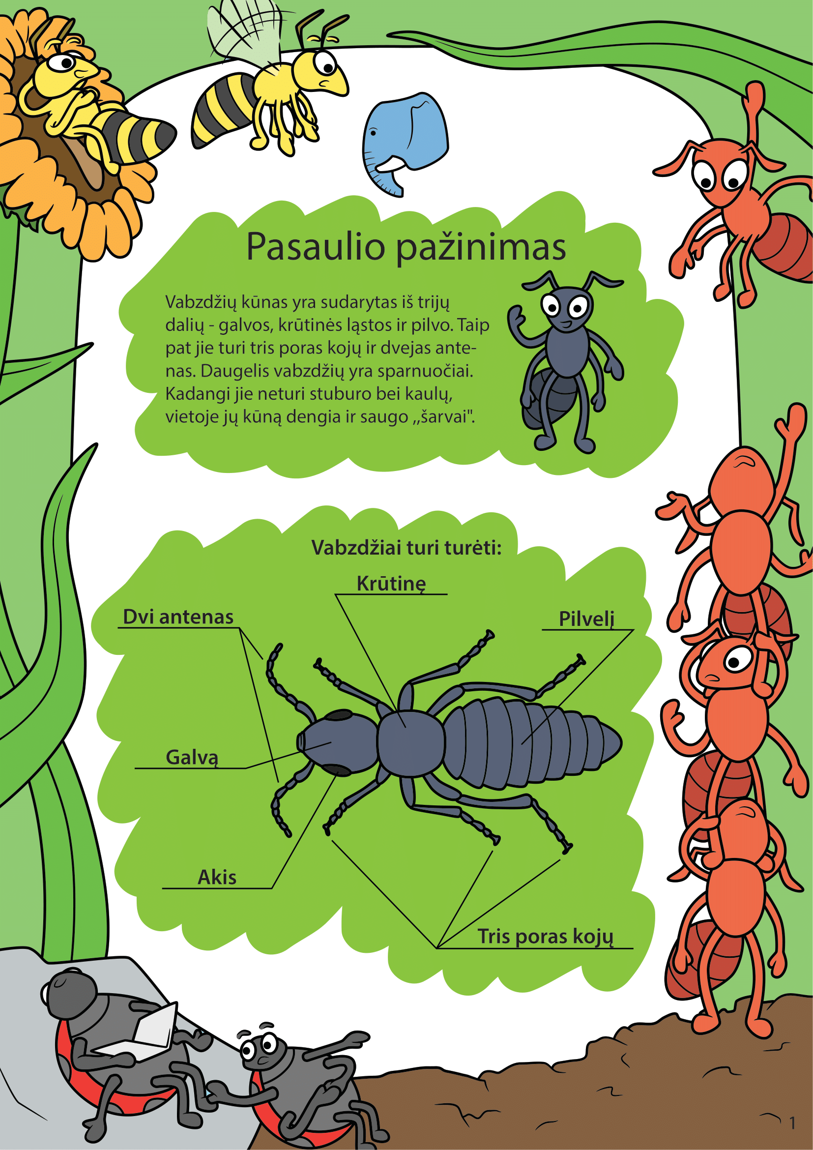 Vabzdžiai - puslapis 1