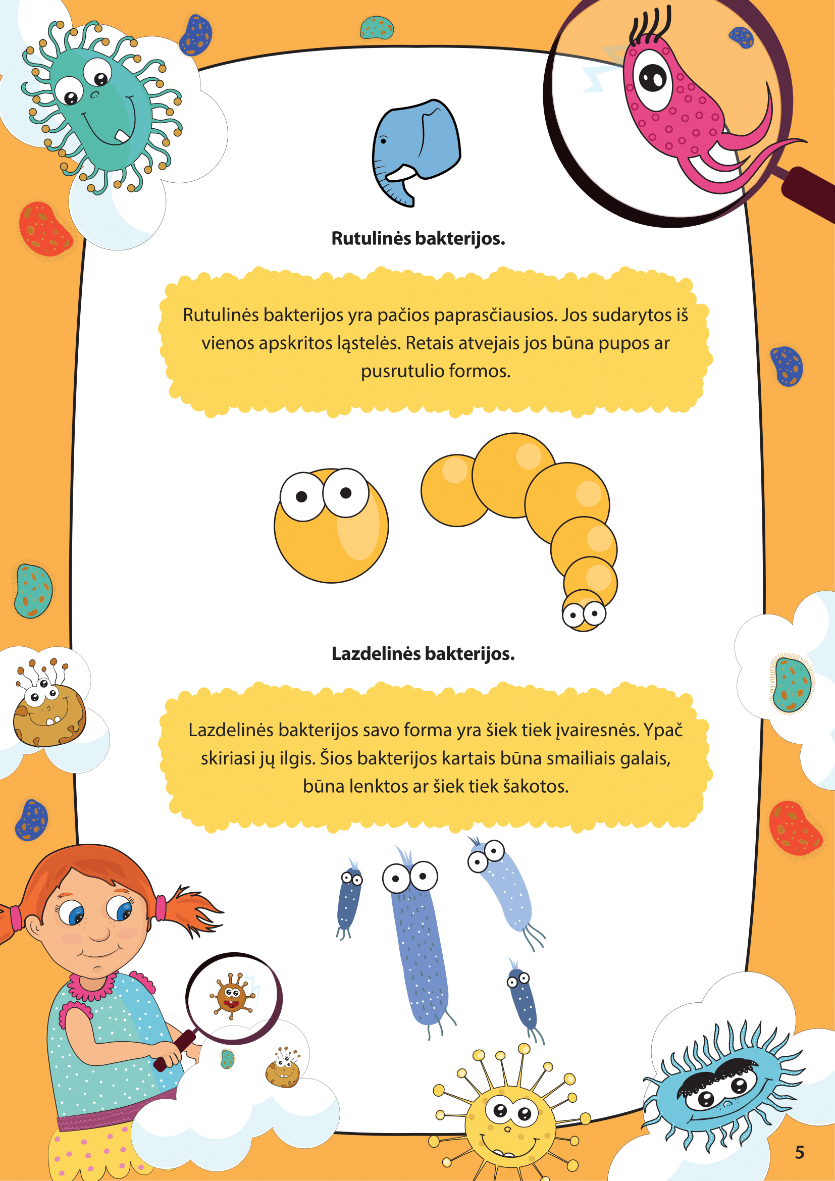 Virusai ir bakterijos - puslapis 3