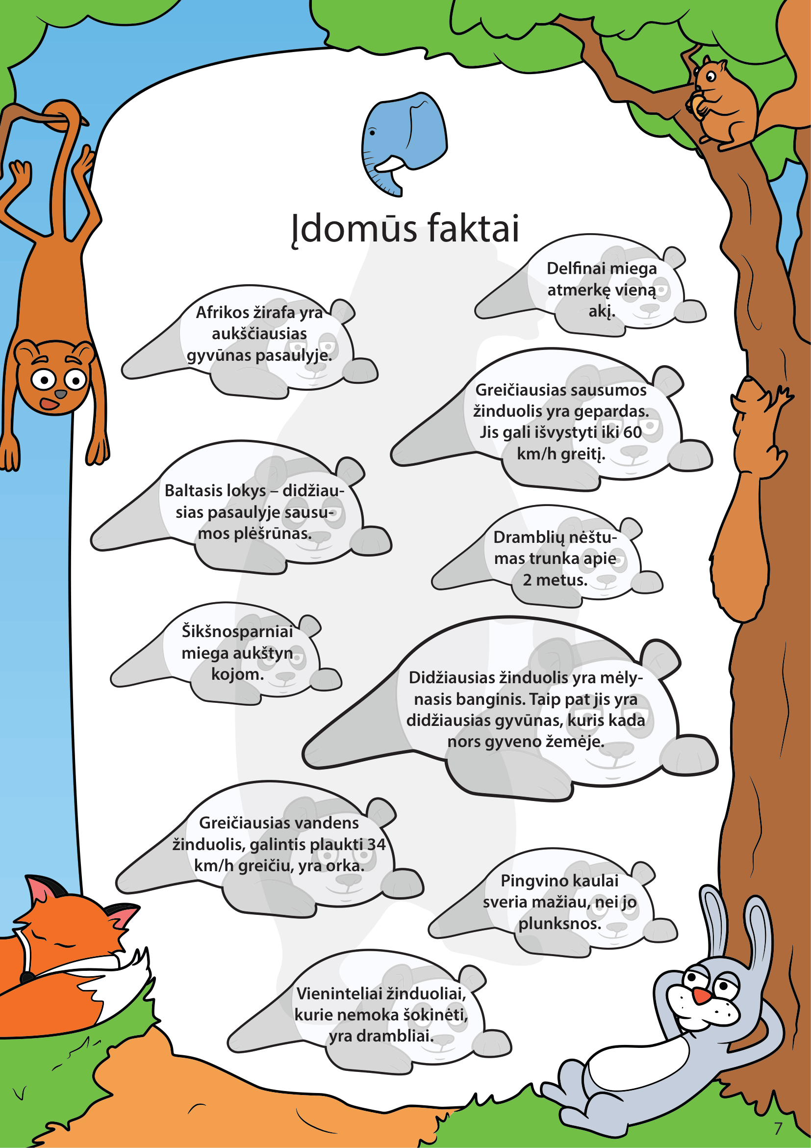 Žinduoliai - puslapis 4