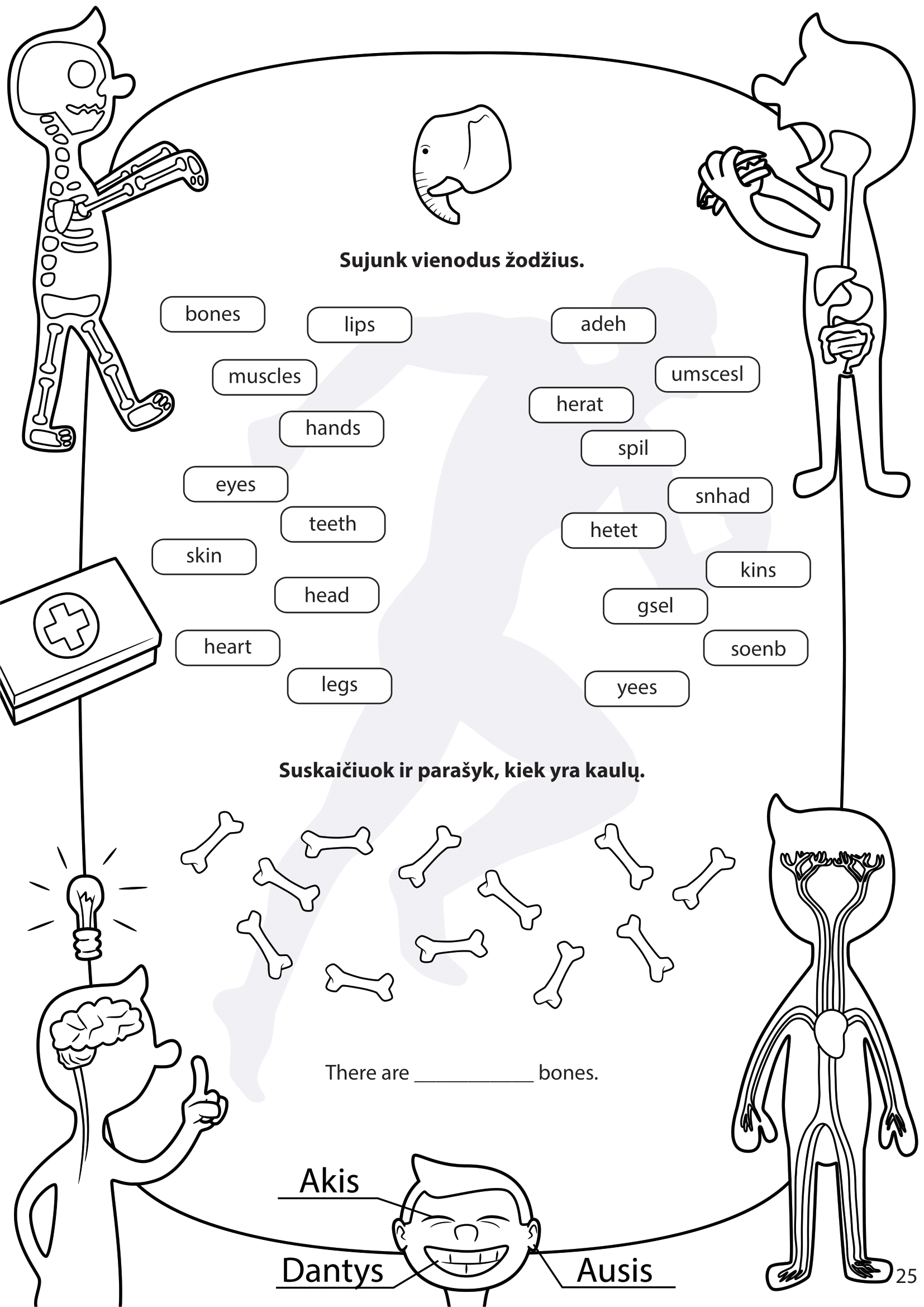 Žmogaus kūnas - puslapis 12