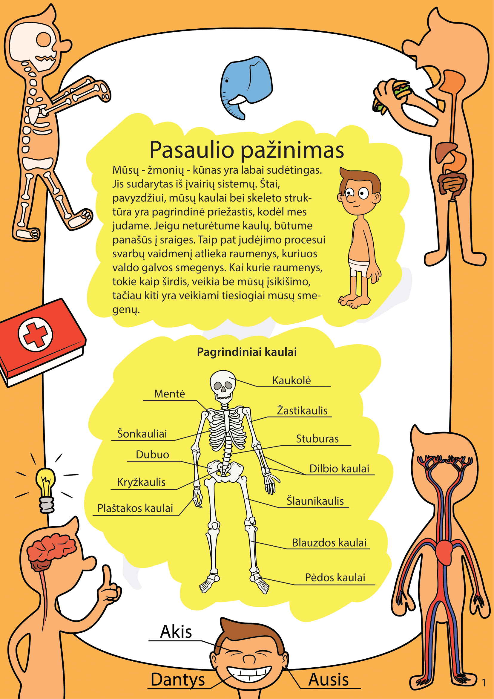 Žmogaus kūnas - puslapis 1