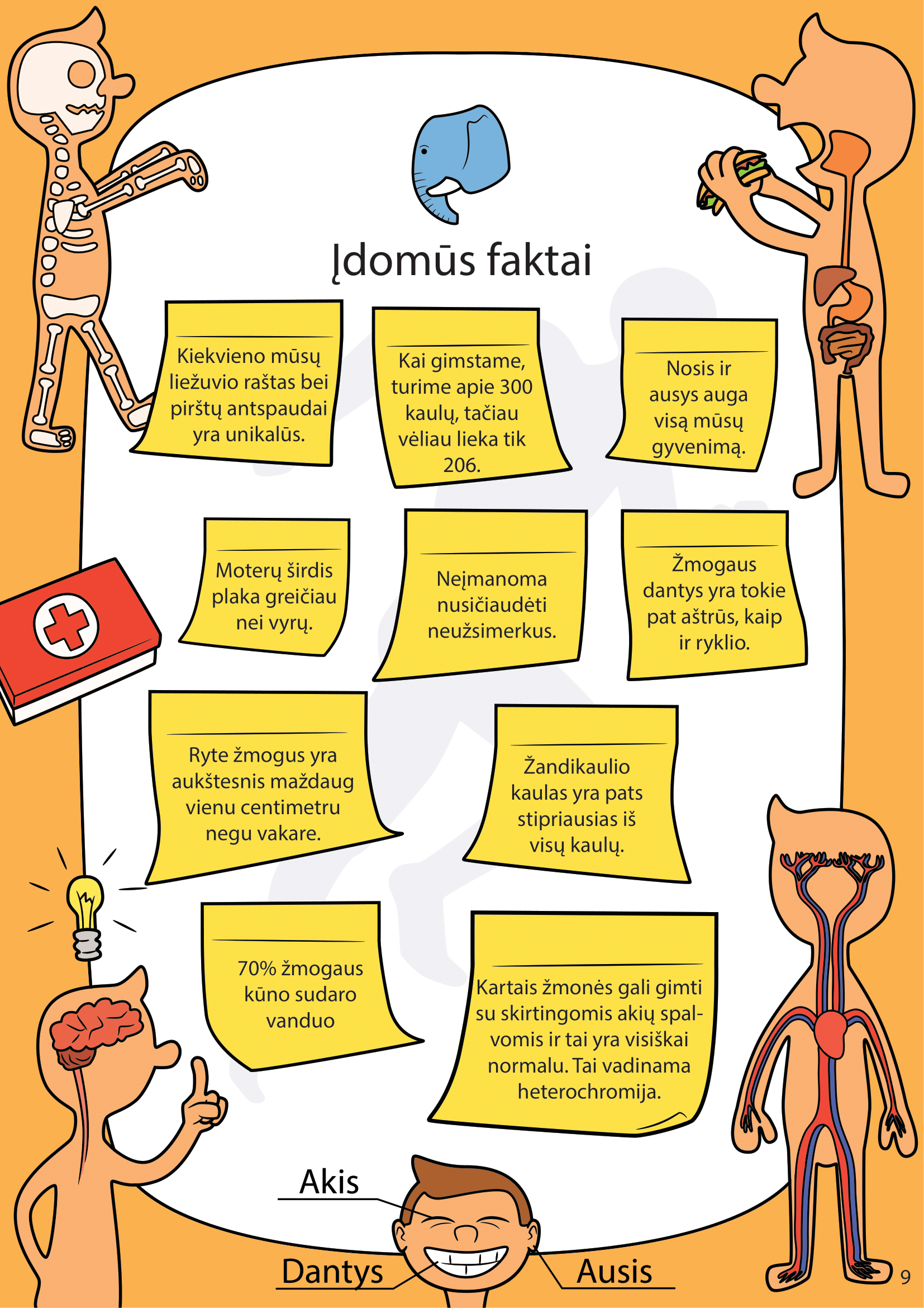 Žmogaus kūnas - puslapis 5