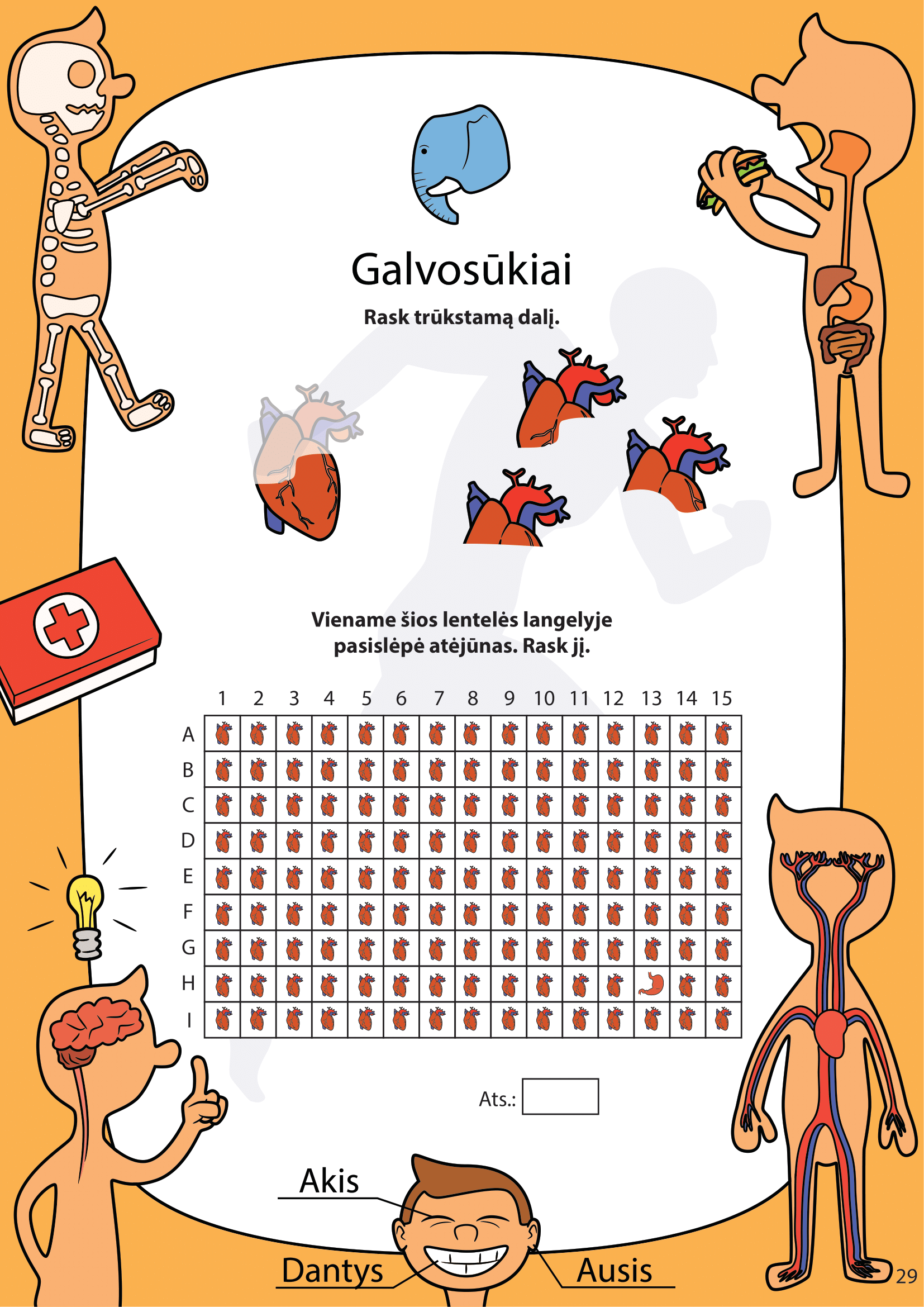 Žmogaus kūnas - puslapis 14